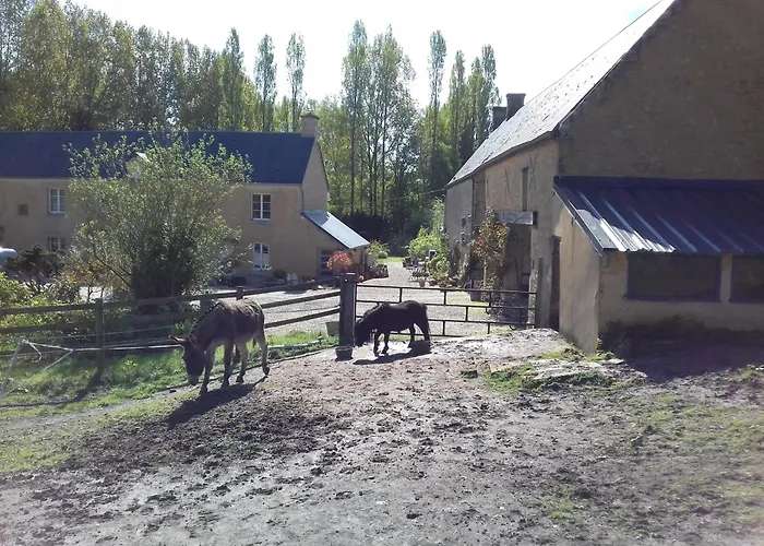 別荘 Du Jardin Des Sources Vaux-sur-Seulles