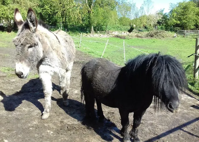 Du Jardin Des Sources Vaux-sur-Seulles